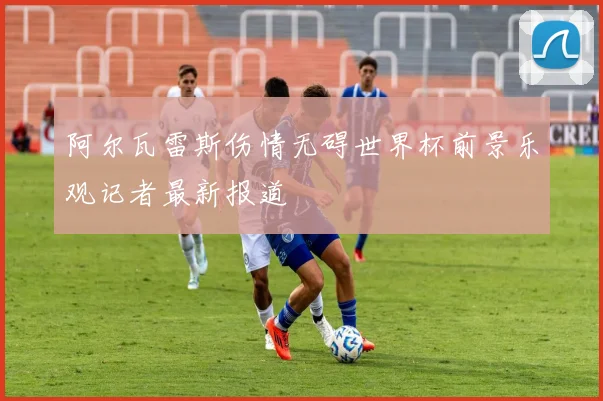 阿尔瓦雷斯伤情无碍世界杯前景乐观记者最新报道